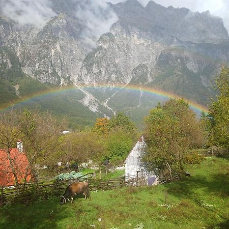 Bujtina Milani Theth Exterior foto